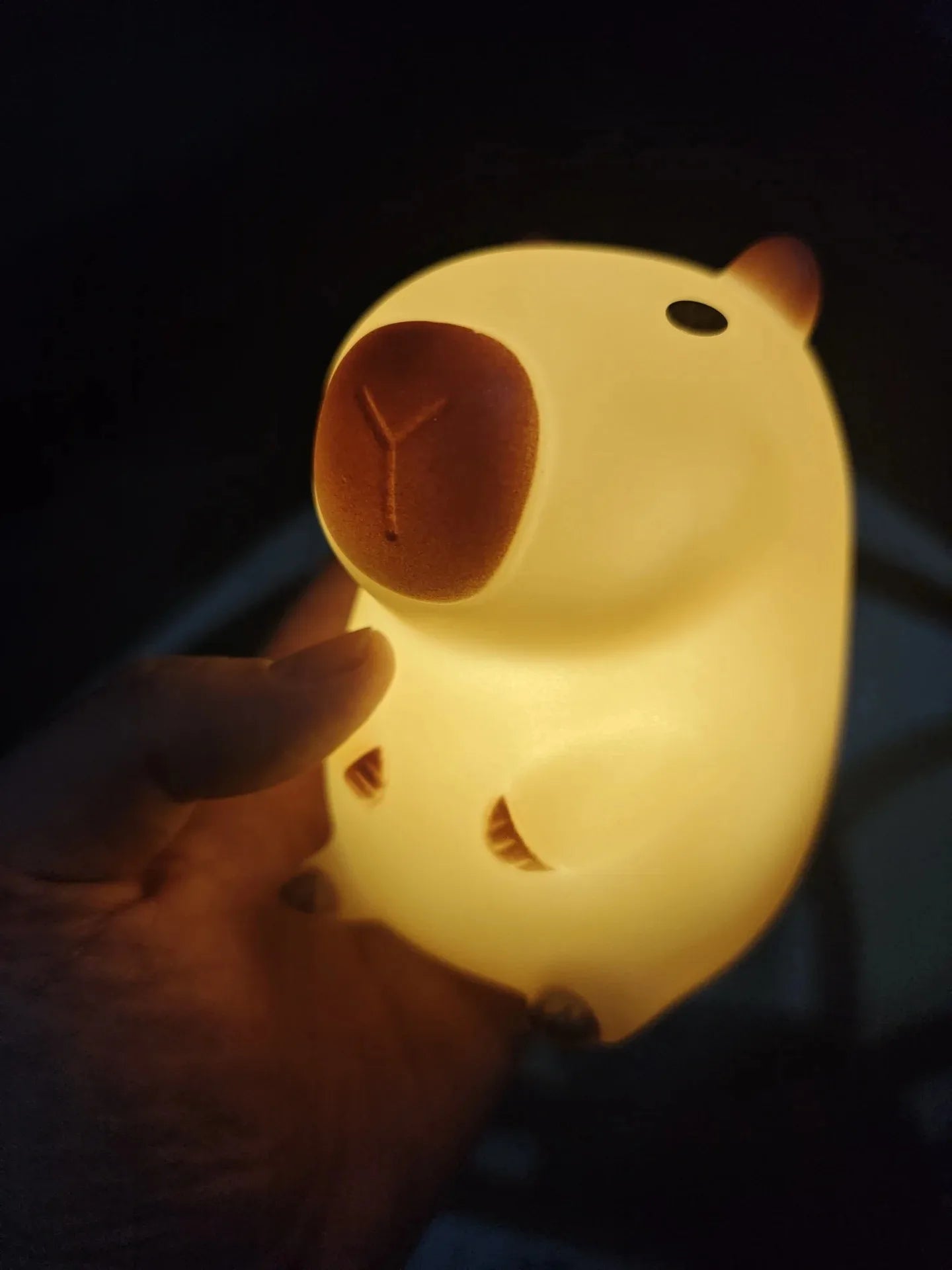 Cute Capybara Night Light – Soft Silicone Sleeping Lamp for Kids Room